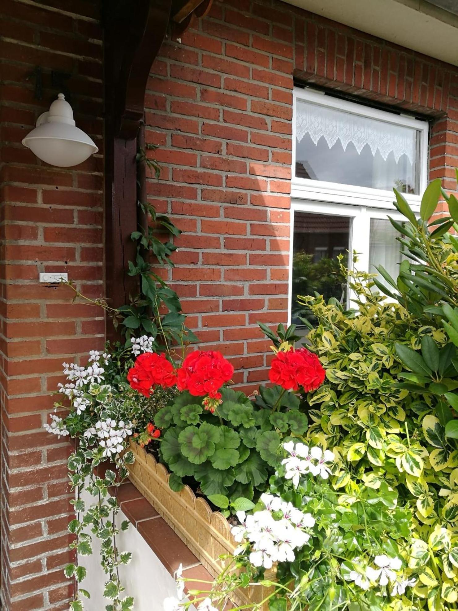 Ferienwohnung Pelzer "To Huus" ครุมเฮิร์น ภายนอก รูปภาพ